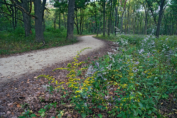 TRAIL 8018477z