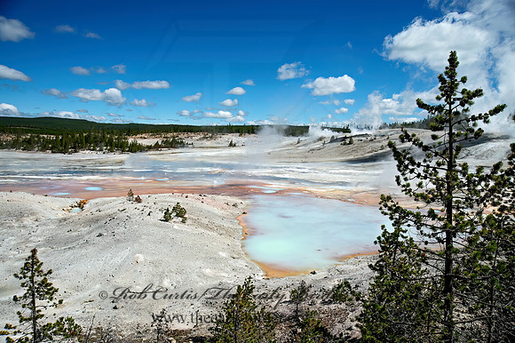 NORRIS GEYSER BASIN 9061213z