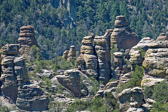 Chiricauhuas NM 7009605z