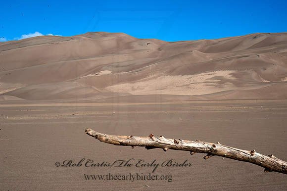 Great Sand Dunes NP 8035939z