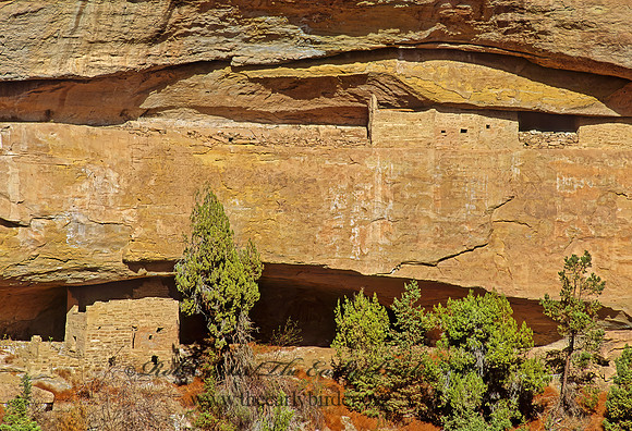CLIFF DWELLINGS 104130z