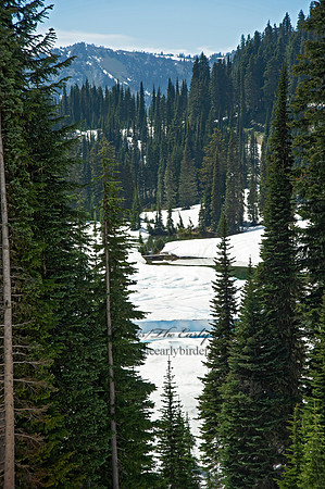 Mt. Rainier NP 9060935z