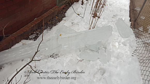 2000926 icicle 3