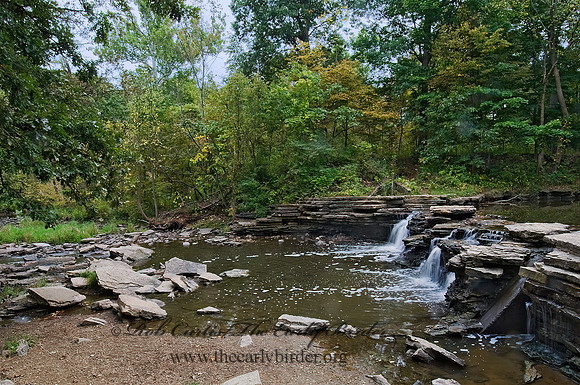 WATERFALL 8018434z