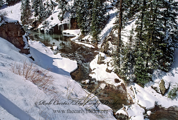 Creek in Ravine 103204z