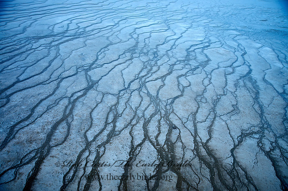 GRAND PRISMATIC SPRING    9061116z