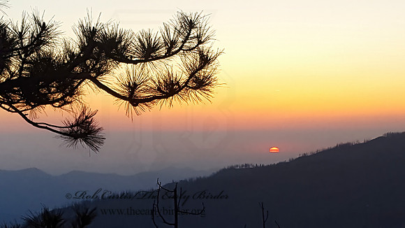 FORESTED MOUNTAIN SUNSET 2000835z