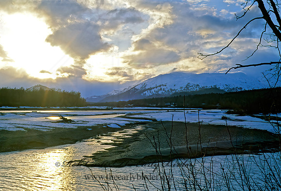 Chilkat Eagle Preserve 216536z