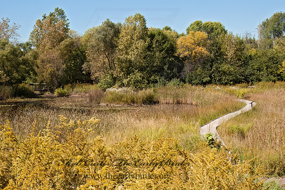 North Park Village NC  MARSH 5002325z