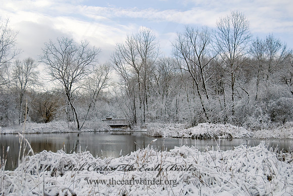 North Park Village NC  WINTER MARSH 6018858z