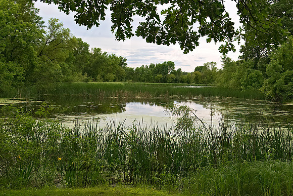 Chain o' Lakes SP 8004505z