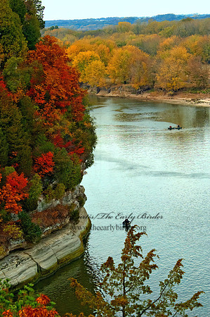 FALL FOREST SCENE 5016992z