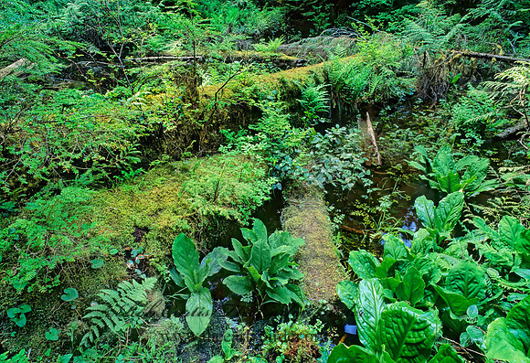 POND 132527z