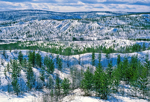 Fort Nelson forest 216503z