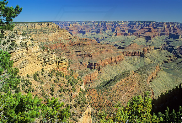 GRAND CANYON OVERLOOK 120800z