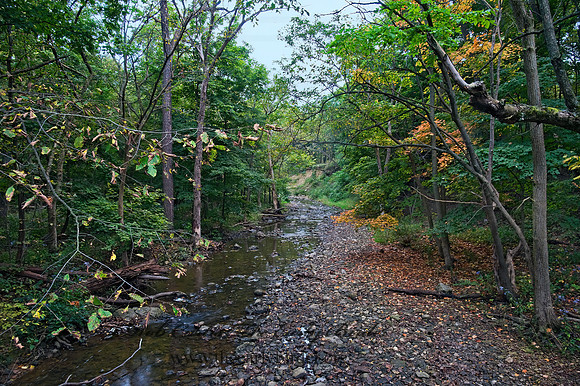 CREEK 8018485z