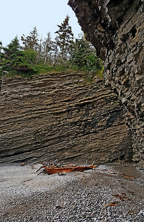 Forillon NP  CLIFF 2000157z
