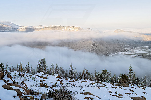 Rocky Mts NP 3025322z