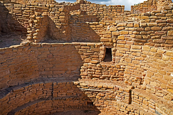 ANASAZI RUINS 9054872z