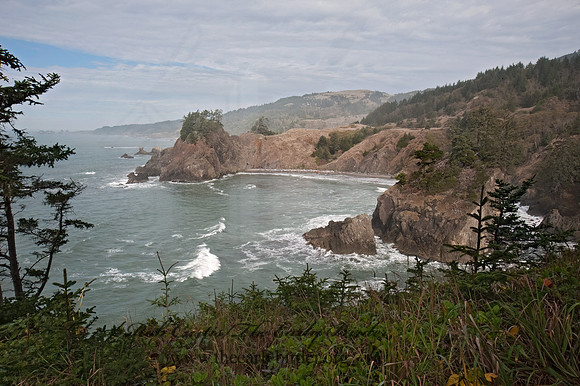 OCEAN VIEW 8019815z
