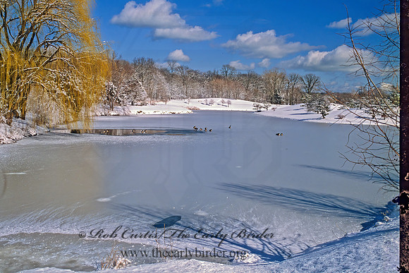 Chicago Botanic Gardens 287707z
