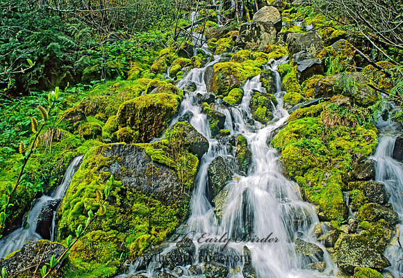 WATERFALL 146428z