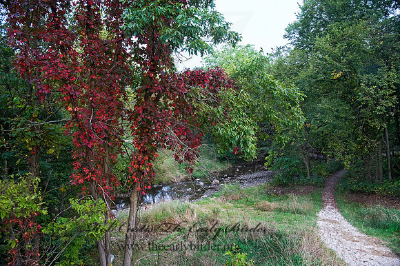 CREEK 8018502z