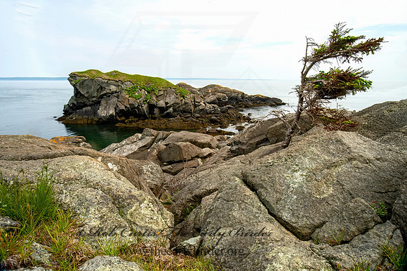 Roosevelt Campabello IP  SUGARLOAF ROCK 9033312-18HDRz