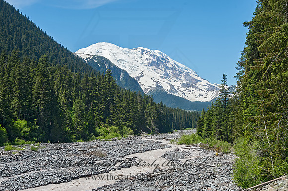 Mt. Rainier NP 9060864-8 HDRz