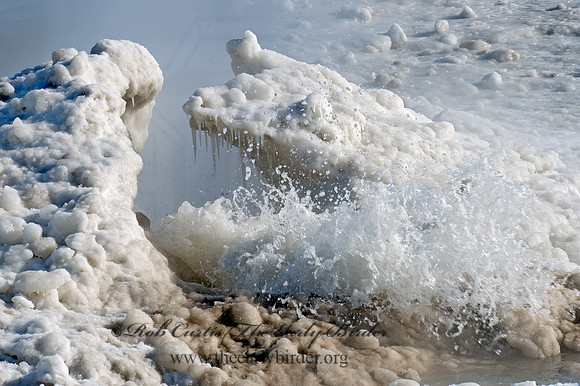 ICE SCENE 9016887z