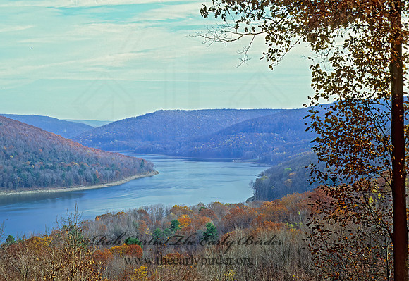 Allegheny River SP  VISTA 45319z