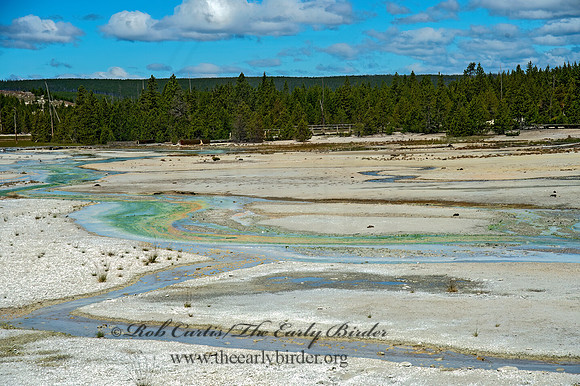 NORRIS GEYSER BASIN 9061197-9 HDRz