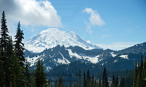 Mt. Rainier NP 9060933z