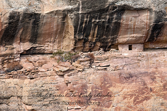 CLIFF DWELLINGS 8035992z