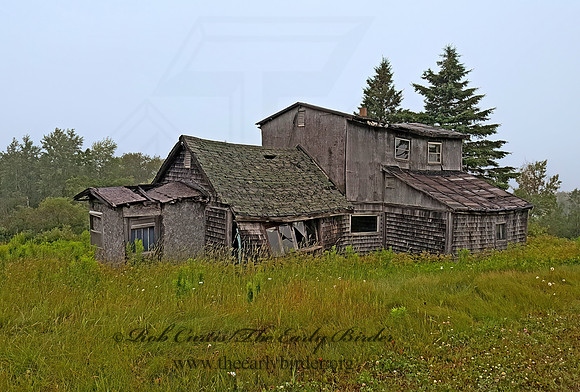 OLD HOUSE RUIN  2000177z