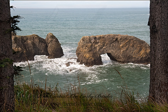 OCEAN VIEW 8019809z