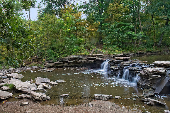 WATERFALL 8018428z