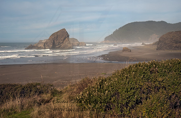 OCEAN VIEW 8019791z