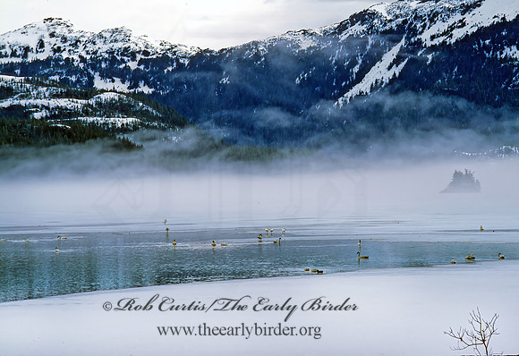 Copper River Hwy - Cordova 217528z