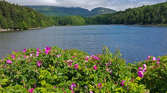 Acadia NP  OTTER CREEK  2000056z