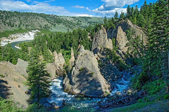 PINNACLES 9061390z