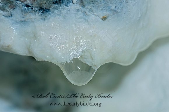 Acadia NP  Stalactite forming 3013840z