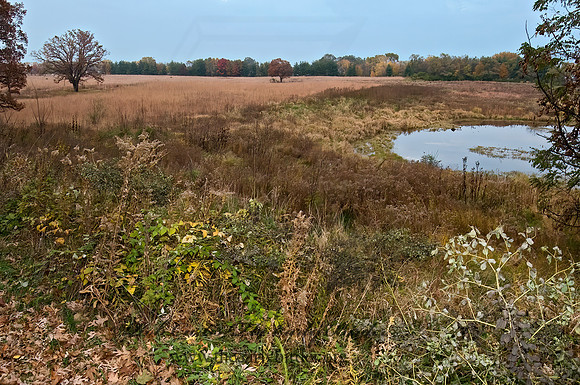 Morraine Hills SP 8009489z