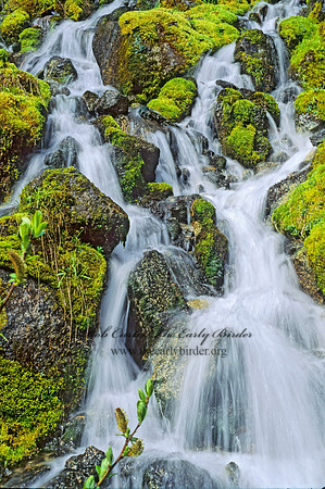 WATERFALL 146424z