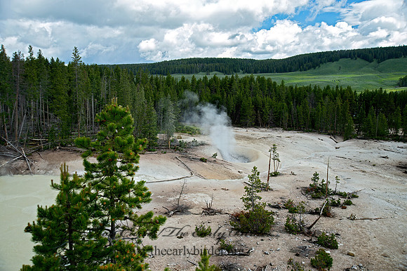 THERMAL SPRING   9061051z