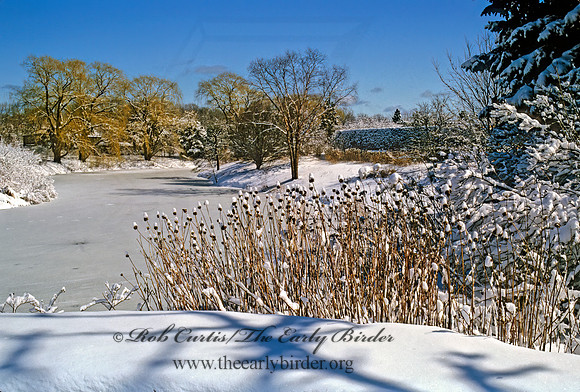 Chicago Botanic Gardens 287419z