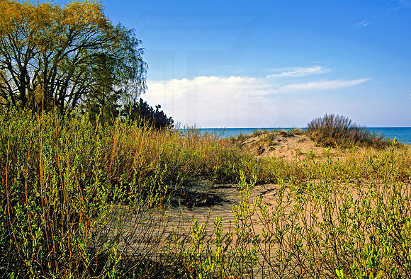DUNES SCENE 288628z