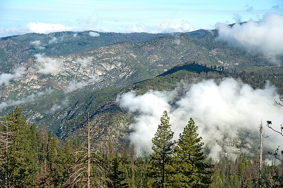 MOUNTAIN VISTA 9058684z